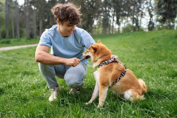 Collar Materials and Durability