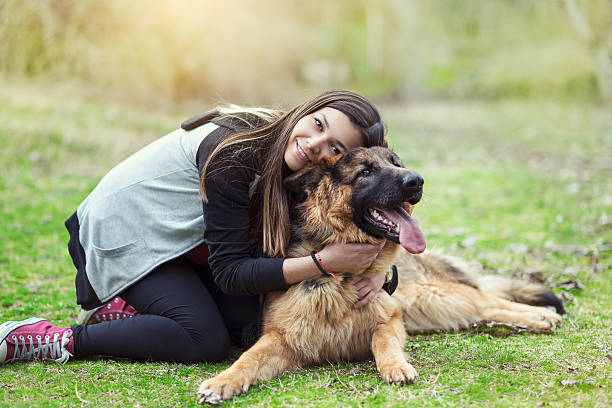 German Shepherd Care and Maintenance