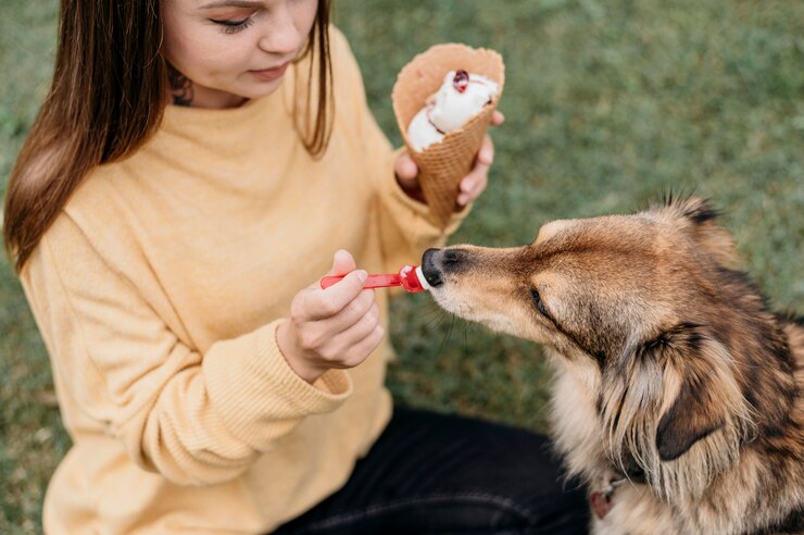 Unique Nutritional Needs of German Shepherds